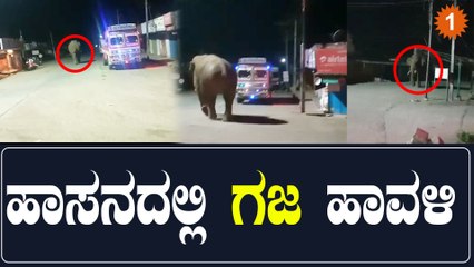 ಪೊಲೀಸ್ ಸ್ಟೇಷನ್ ಮುಂದೆ ಬಂದು ನಿಂತ ಒಂಟಿ ಸಲಗ!! ಆಮೇಲಾಗಿದ್ದೇನು? | Oneindia