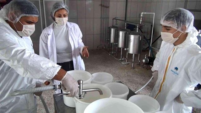 Öğrenciler bu okulda inek sağıp doğal yoğurt üretiyor