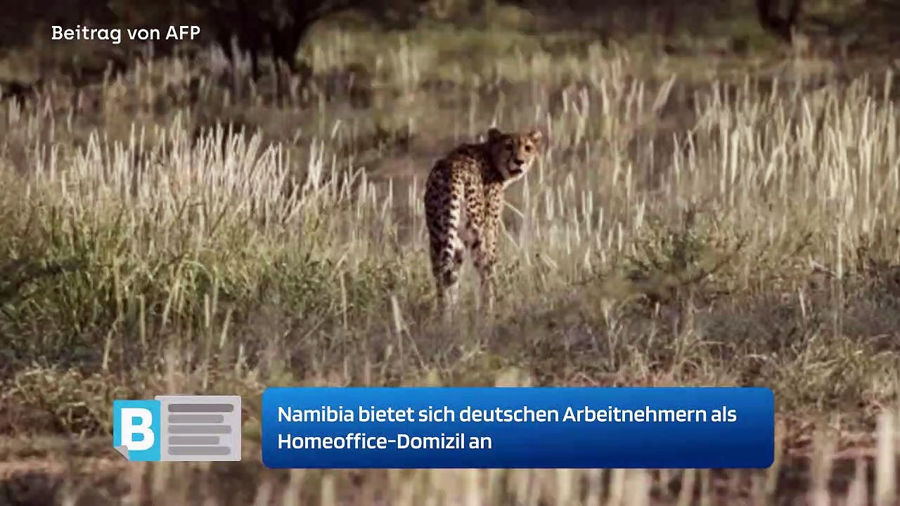 Namibia bietet sich deutschen Arbeitnehmern als Homeoffice-Domizil an
