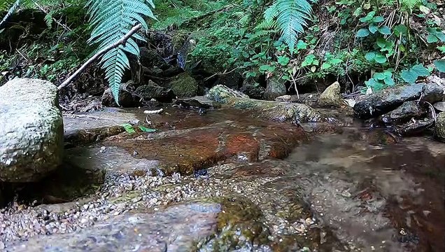 Bien-être écoulement - Relaxation - Détente