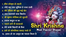 Shri Krishna Most Popular Bhajan   -  Mridul Krishna Shastri Bhajan ~  Hindi Devotional Bhajan ~ 2022