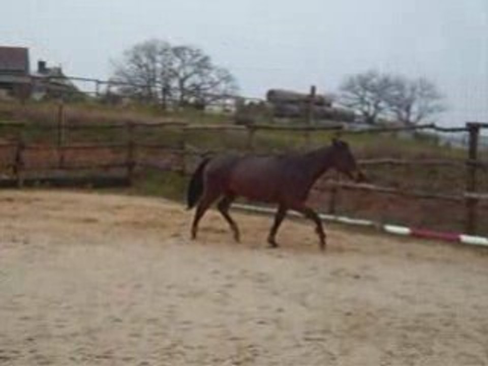 Git trotting lib