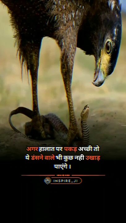 सहमत हो तो फॉलो करो   @Inspire_Ji   #Inspire_Ji #motivation #successquotes #lifequotes #ins...dreams #motivationalvideos #viral #instagram #quotes #motivationalquotes #positivevibes  #goals #positivity