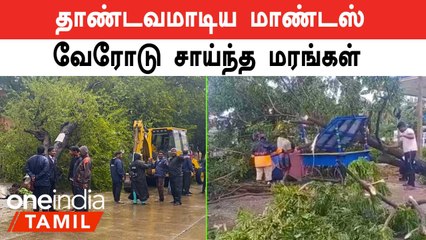 Скачать видео: Chennai | சென்னையில் 100க்கும் மேற்பட்ட மரங்கள் முறிந்து விழுந்ததாக தகவல்