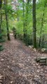 Mountain Biker Flies Off Ramp Into Faceplant