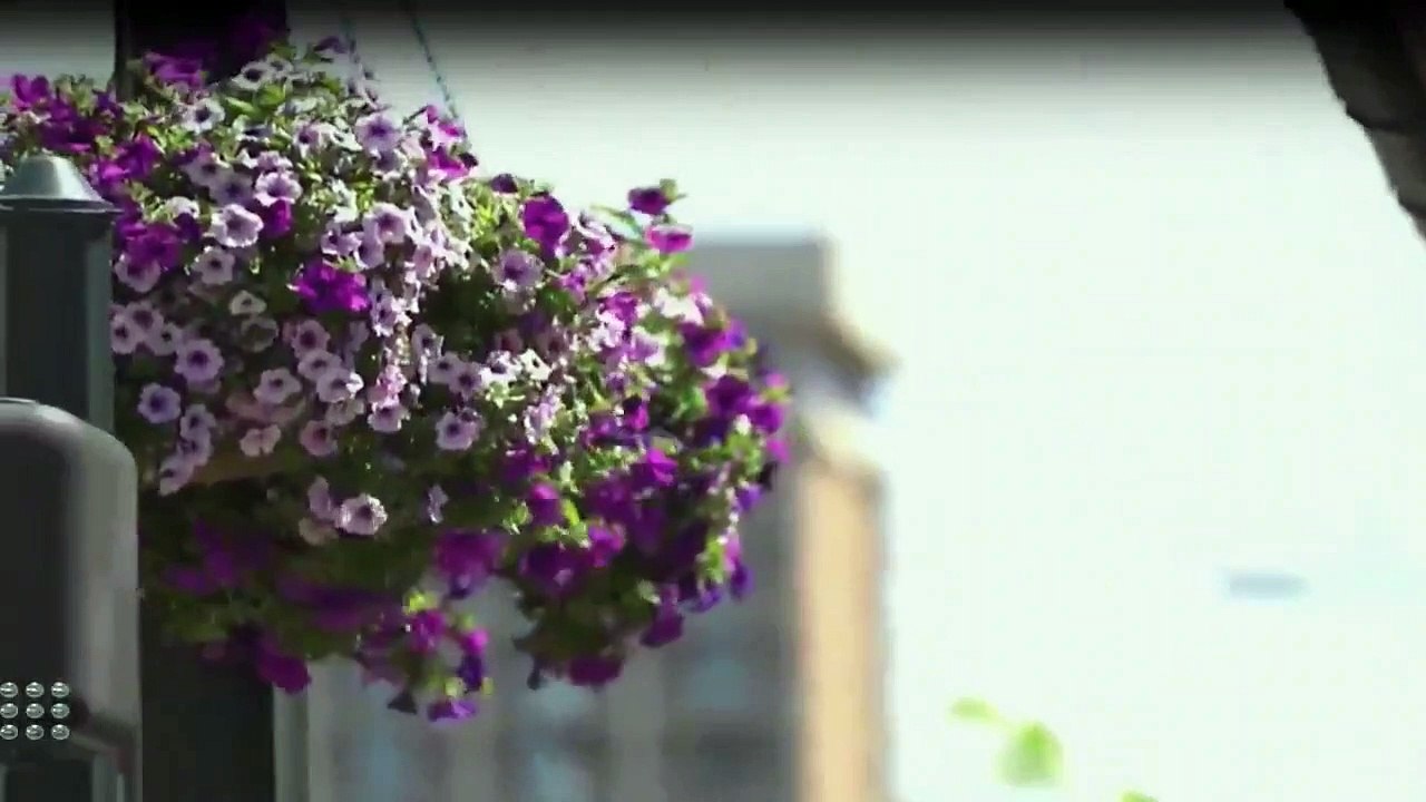 Bargain Mansions Staffel 1 Folge 2 HD Deutsch