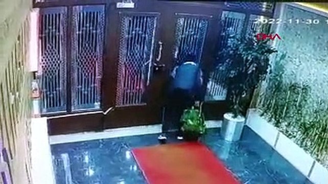 Cinsel performans artırıcı ilaç fareleri kamerada