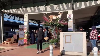 Marseille. Le MIN des Arnavaux vous ouvre ses portes ce week-end !