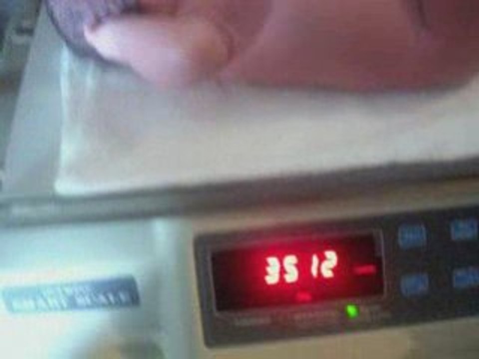 Cassia being weighed