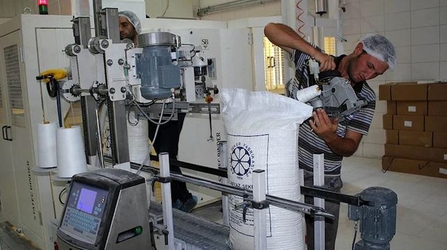 Şeker pancarının tarladan sofraya zahmetli yolculuğu