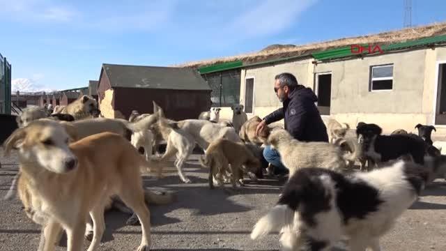 YÜKSEKOVA'DAKİ HAYVAN BAKIM VE REHABİLİTASYON MERKEZİ'NDE 2 BİN 457 HAYVAN TEDAVİ EDİLDİ