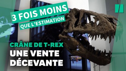 Descargar video: Ce crâne de T-Rex a été vendu aux enchères bien en dessous du montant estimé