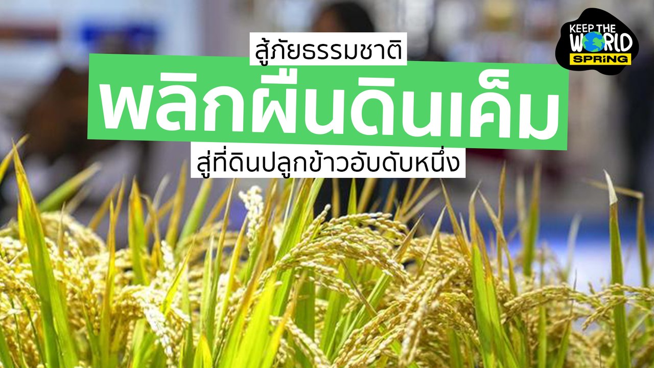 ไม่ยอมแพ้ธรรมชาติ จีนพลิกดินเค็มจนปลูกข้าวได้ l KEEP THE WORLD