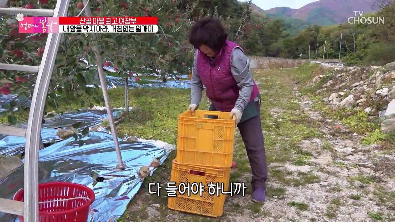 능수능란한 만능 일꾼 엄마 VS 낮술 중인 남편 TV CHOSUN 20221211 방송