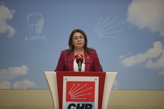 CHP Genel Başkan Yardımcısı Karaca'dan Dünya İnsan Hakları Günü açıklaması