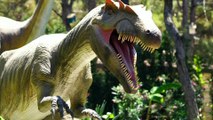 Fakta unik Tentang T-Rex