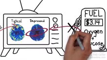 What is the science behind TMS?