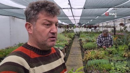 Yurt dışından getirdiği sinek ve böcek yiyen bitkiler büyük ilgi görüyor