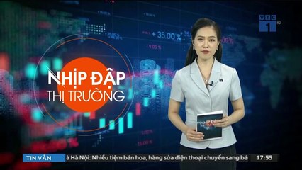 Với 300 triệu bạn sẽ đầu tư vào dự án BĐS nào? Hãy cùng tìm hiểu về dự án The Dragon Castle Hạ Long