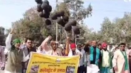 रीवा: हवा में काले गुब्बारे उड़कर मुख्यमंत्री के नाम हवा में सुअर पालकों ने भेजा पैगाम