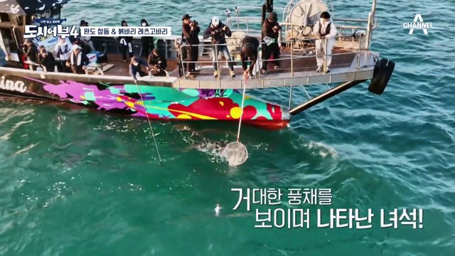 찬양하라!! 거대한 풍채, 48cm 참돔 잡은 ▶킹태곤◀