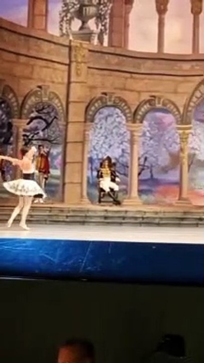 20221208 Paquita Tereshkina