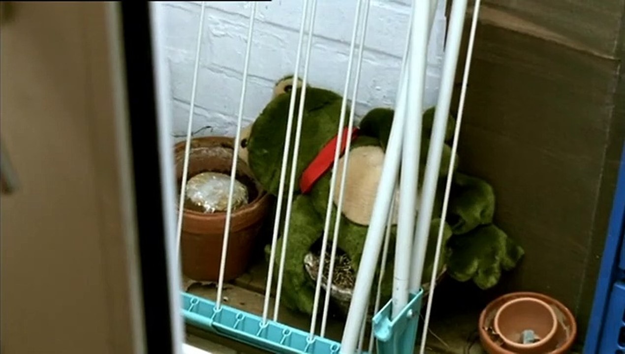 Unter anderen Umständen Staffel 1 Folge 1