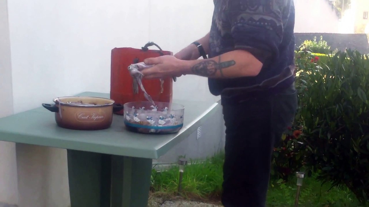 _ Pêche à l'encornet _  ça redémarre mais tout doux