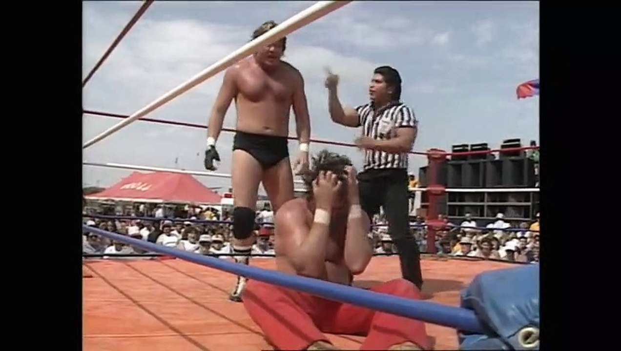 Mid-South Wrestlefest 1985 (28-07-1985)