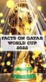 Unknown and  Interesting facts about Qatar  FIFA World Cup 2022 | Do you know these mystery facts about the qatar world cup?