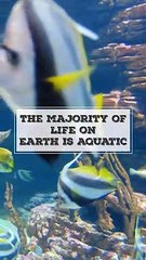 Most MYSTERIOUS Ocean Facts! | क्यों समुंदर की गहराईयों में कोई SCIENTIST नहीं जाना चाहता