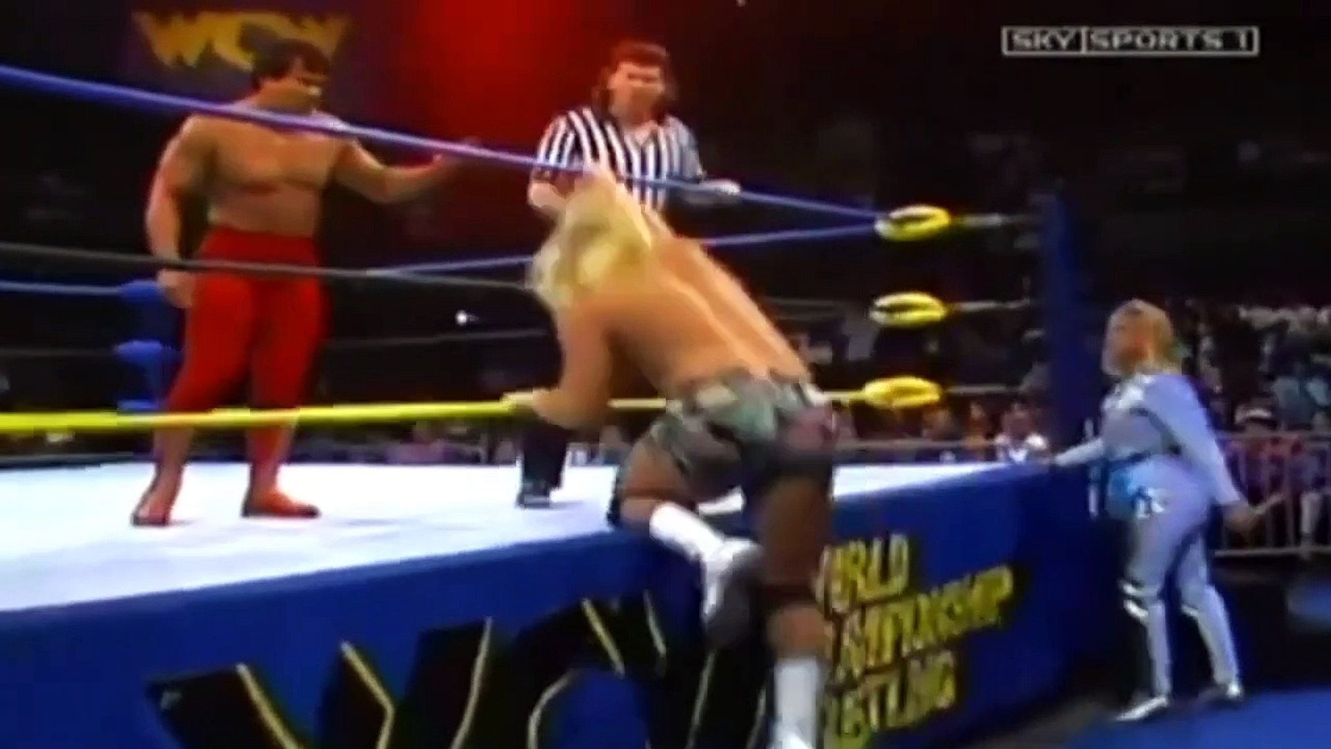Ricky Steamboat Titles