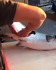 Fastest and Most Skillful Workers Ever #2