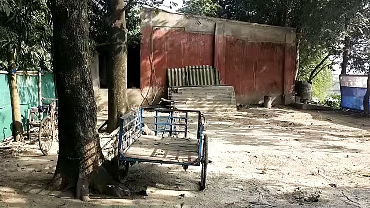 VID-20221206-WA0011