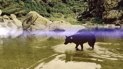 Um tempo novo - Feliz 2023