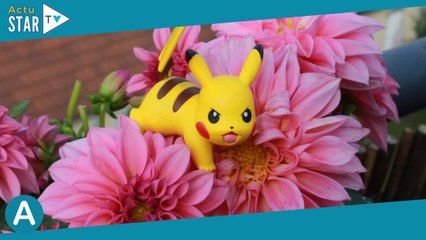 Les 3 meilleurs produits à offrir à Noël à un fan de Pokémon