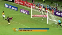 Botafogo apresenta dois novos reforços