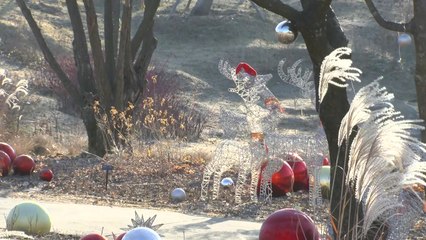 [날씨] 내륙 맑고 온화한 날씨...식물원 나들이 즐겨요 / YTN