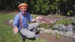 Un viaje sensorial en el jardín con Blippi | Aprende con blippi | Videos educativos para niños
