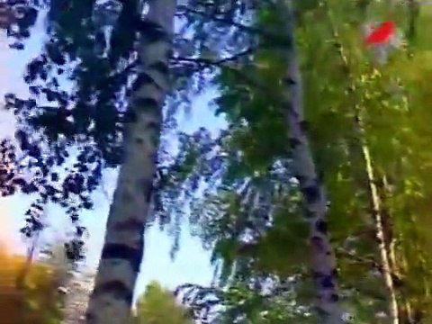 София Ротару - Край