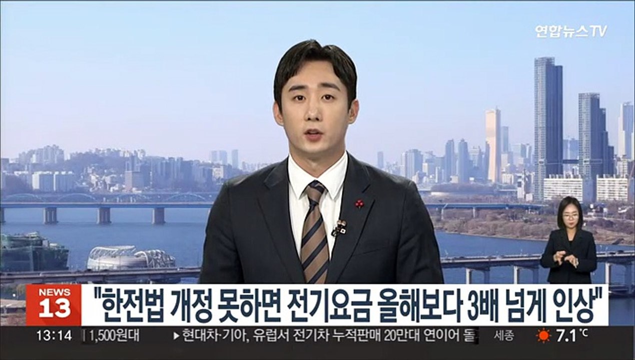 "한전법 개정 못하면 전기요금 올해보다 3배 넘게 인상"