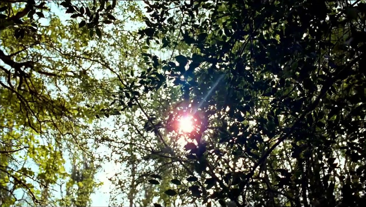 Mademoiselle Julie Bande-annonce (ES)