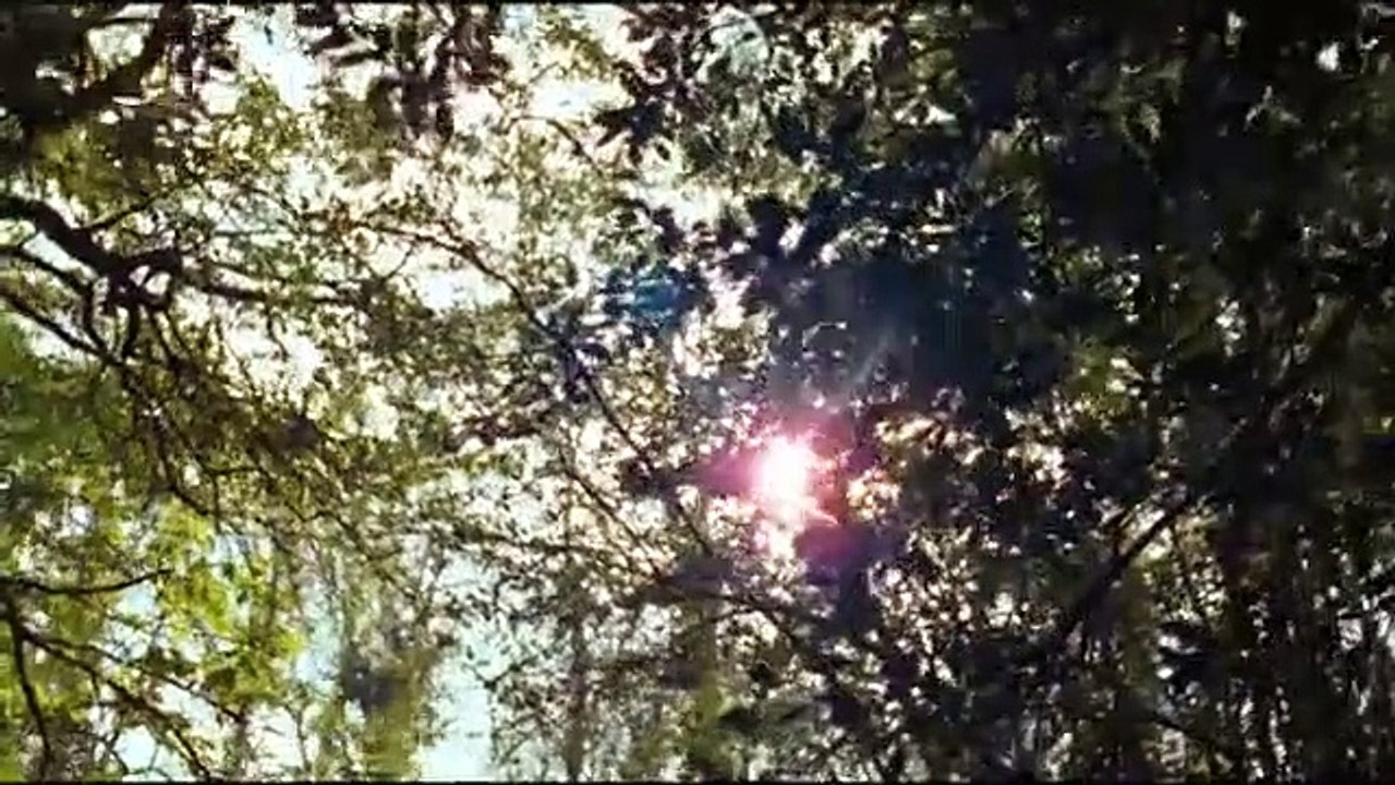 Mademoiselle Julie Bande-annonce (EN)