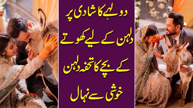 Dulha ka shadi per dulhan k liye khotay k bachay ka tohfa, dulhan khushi se nihaal