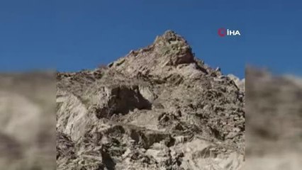 Hakkari'de dağ keçileri böyle görüntülendi