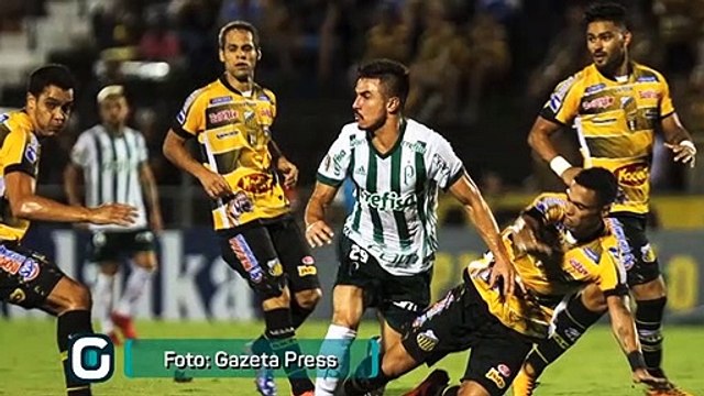 Palmeiras não tomou conhecimento do Novorizontino nas duas últimas quartas