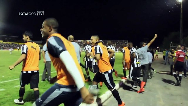 Jogadores do Botafogo comemoram acesso à Série A