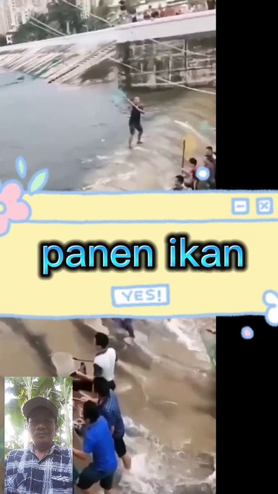 Panen ikan