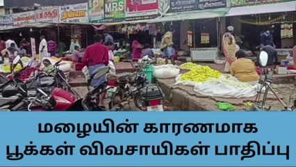 தர்மபுரி: தொடர்மழை காரணமாக பூக்கள் சாகுபடி பாதிப்பு!