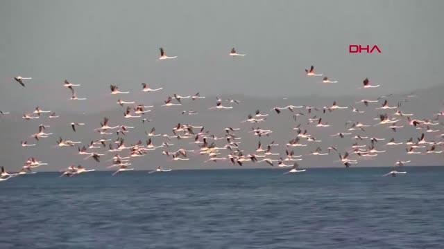 VAN GÖLÜ'NDEKİ KURAKLIĞA RESİMLE DİKKAT ÇEKTİLER